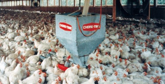 chicken house jpg